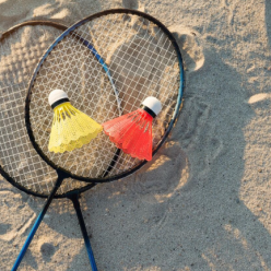 Summer BAD